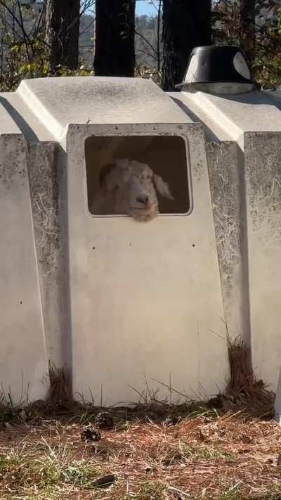 Me deciding whether to leave my house