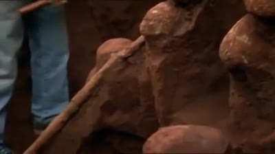 When you pour concrete down a massive ant colony and dig it out