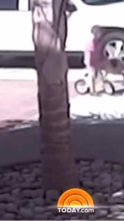 'Mission failed, target has a body guard'