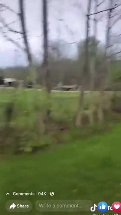 Dog Shocks Itself On Fence, Donkey Laughs About It😂