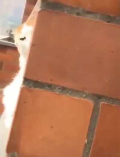 And he is not amused.