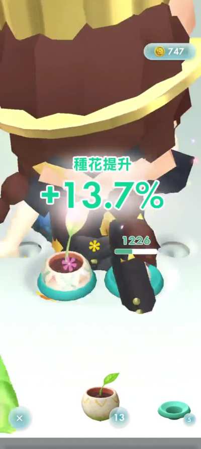 Guys I think I'm planting a special seedling