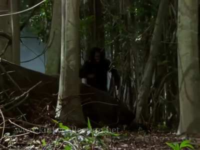 Jennifer O'Dell kicks a creature in the balls in The Lost World S01E03 1999