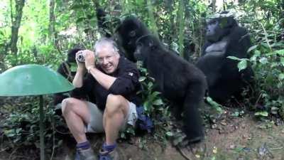 Not your usual, but this could have been so much worse.