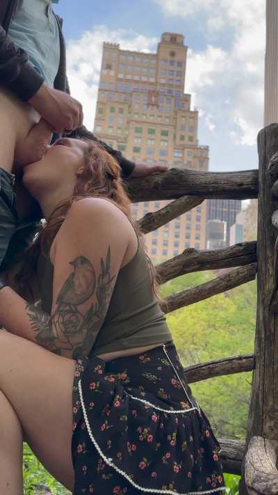 Gotta love those NYC park views