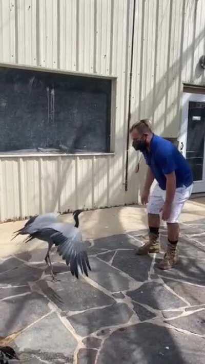 The gatekeeper of the backyard