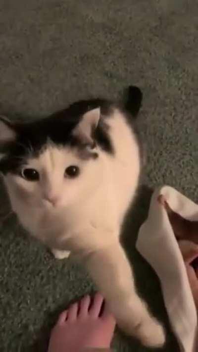 Hey look at me, stop looking looking at your phone,I’m talking to you.