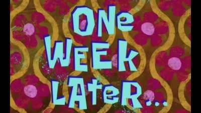 MSM When GME goes up 8.19% in a day 👨🏻‍🦯