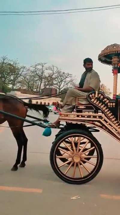 Our aesthetic Tangas.