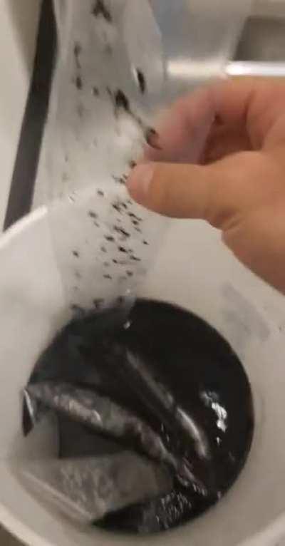 When the fan blades on your evaporator are caked with black shit.