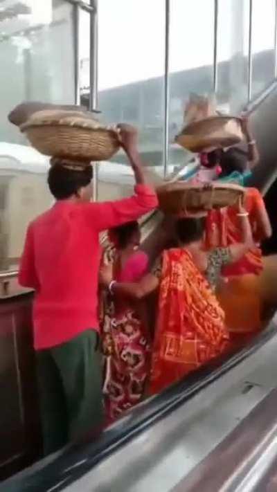 They will be ripped by the time they reach up.