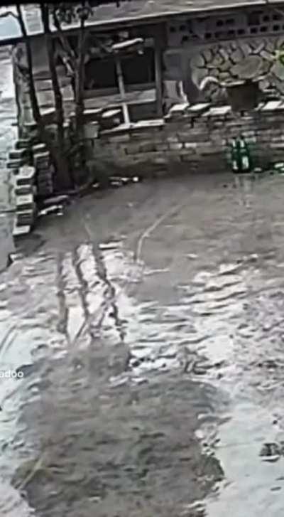 BeelcitosMemes - Video #0923