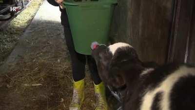 Isplatilo se gledati plodove zemlje