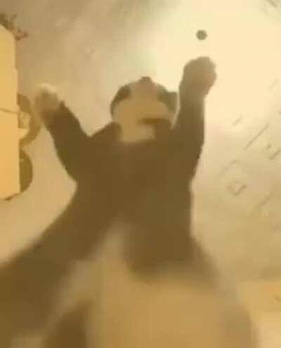 El Esteban modo sexo we