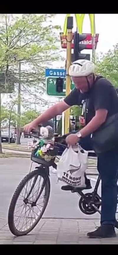 This doggo and the shoulder tap