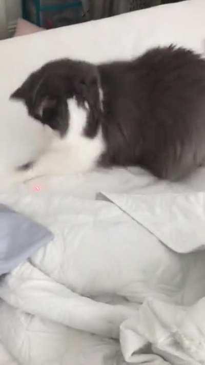 Daily dose of exercise