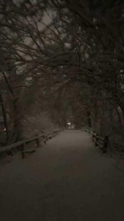 It's time to go to sleep guys, goodnight