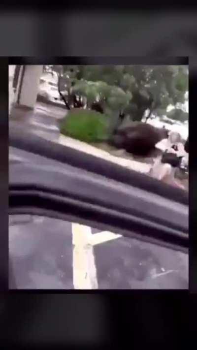 So nice of him to try and protect her from the coronavirus