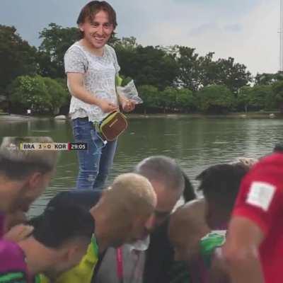 Croatia vs Brazil Highlights