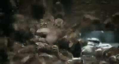 What a dumbass lmao.