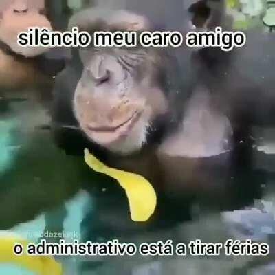 MUKA NOS ULTIMOS 3 MESES