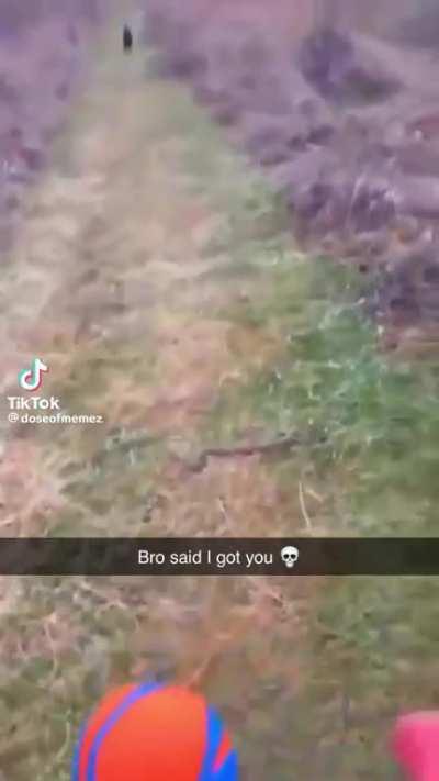 Please Stop Reposting