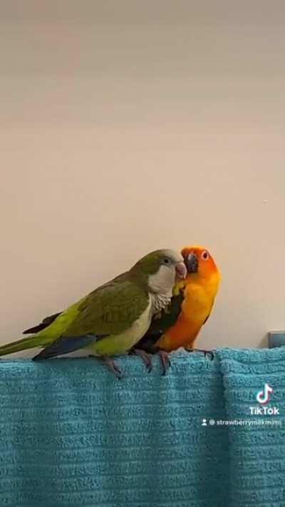 Trying to get him to sing in the bathroom, instead got this PDA