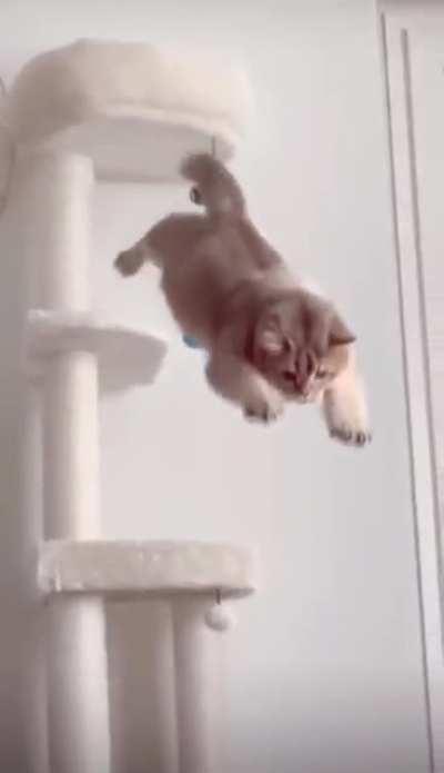 To Jump Over