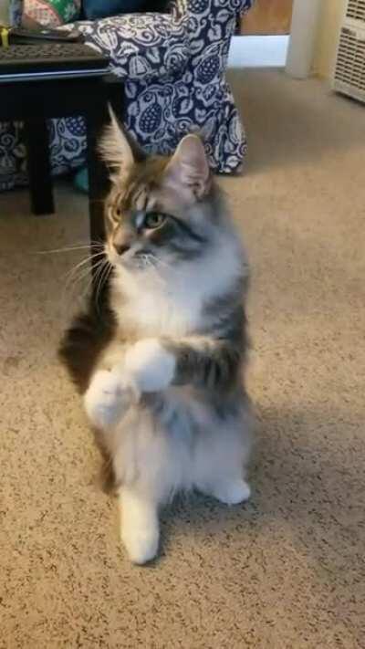 Господи, ниспошли мне мышку, а лучше две...