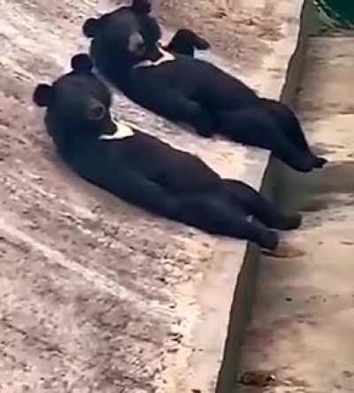 dude that guy's staring right at us