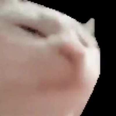 That ending though. What a jam!