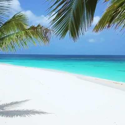 Made in The Shade 💗🏝 (Anguilla, Caribbean)