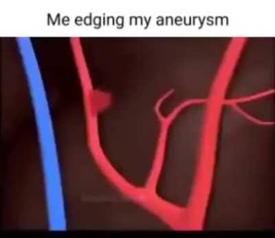 Live footage from Lenin's office