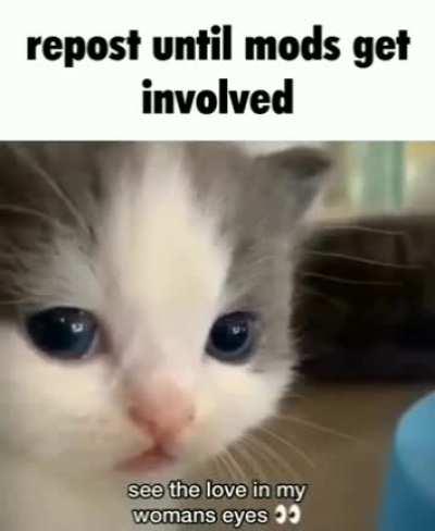 Discordmemes - Video #4281