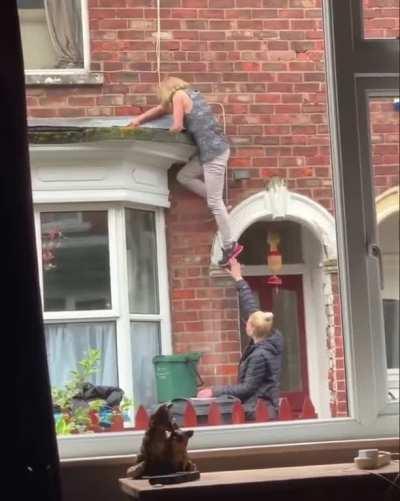 Druggies try to break into house in broad day light, wait for it…😅