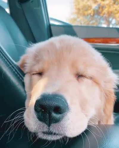 Hey Dave why don't we go slow and take the scenic route today...?