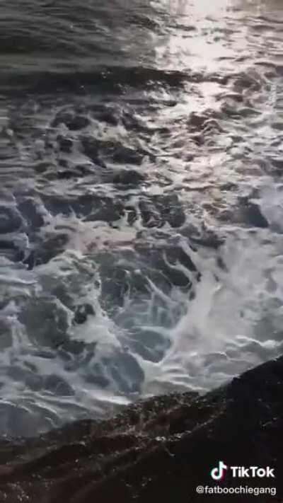 HMFT after I get thrown off a cliff