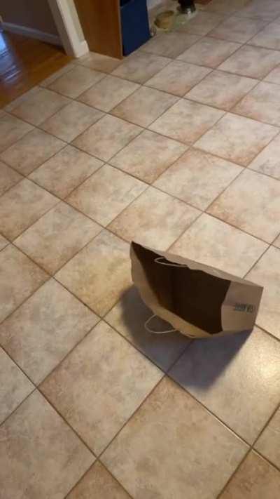 10s across the board!