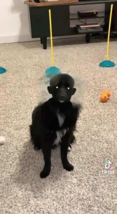 Couldn't decide if this was funny or terifying..sorry if this doesn't belong here x0x