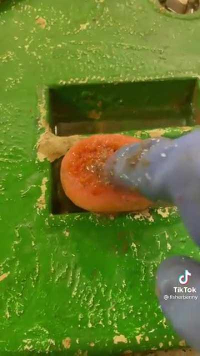 Anyone know what this thing is?