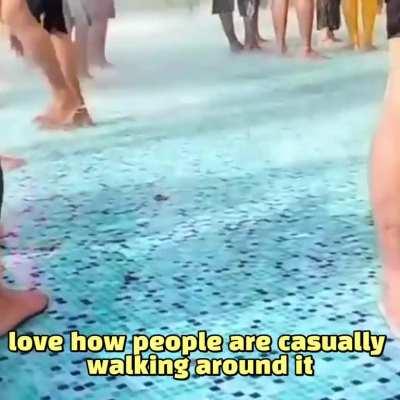 Biharis not shitting in open challenge (impossible)