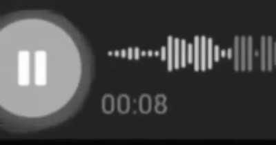 seslendirmen olur mu benden