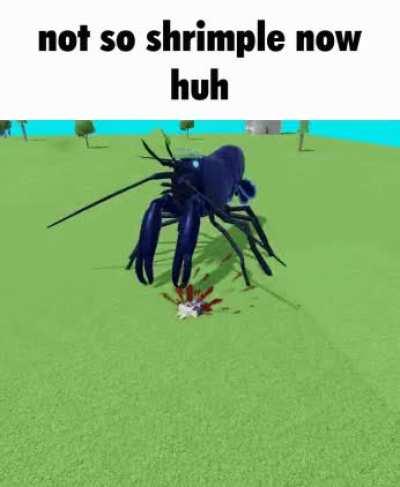never was shrimple in the first place