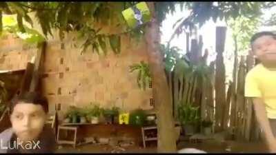 O tigre e o majot felino