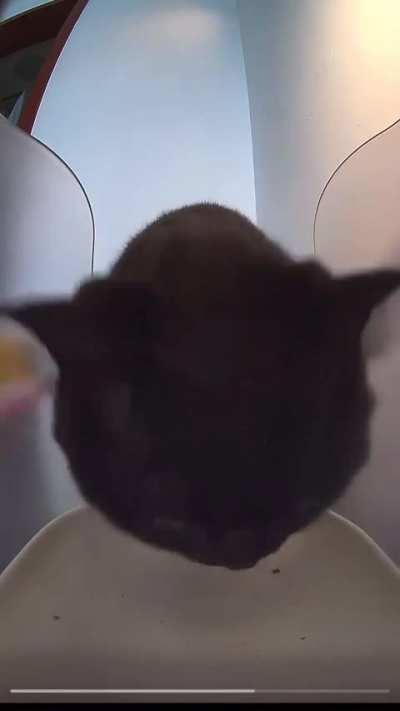 Thank you to the Miniplenty for raising kibble rations once again!