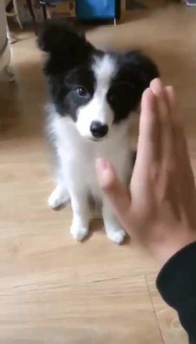 “I’m not sure what you want, but i love you!”