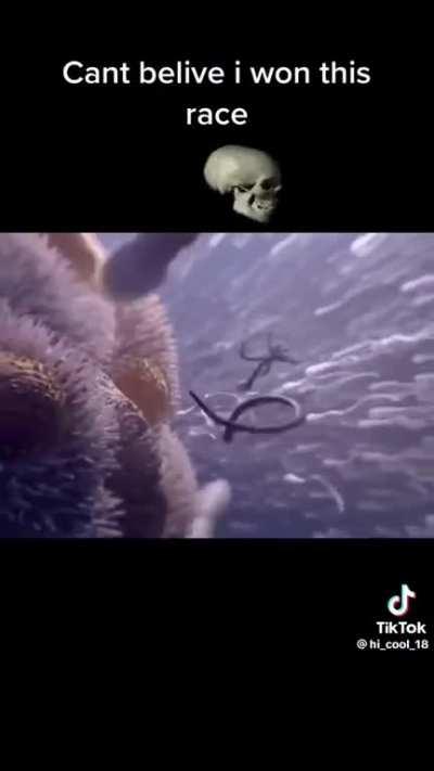 you know its over when you see the spinning skull 💀💀💀