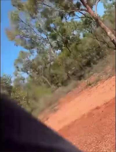 Refuses to elaborate. Leaves