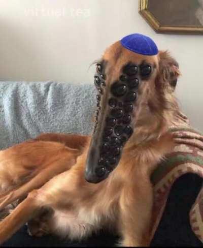 Thanks, i hate multieye dog