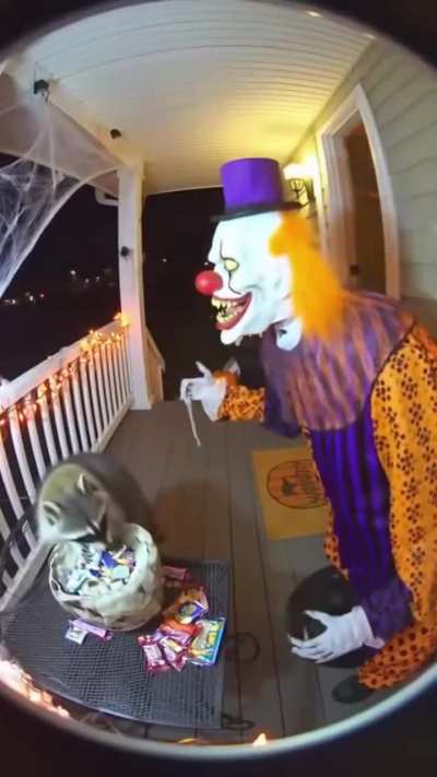 Ele não está pra amigos esse ano.